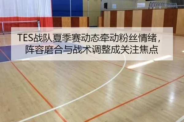 TES战队夏季赛动态牵动粉丝情绪，阵容磨合与战术调整成关注焦点